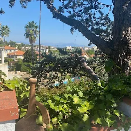 Dans Maison, Jardin Et Piscine Prives * Antibes