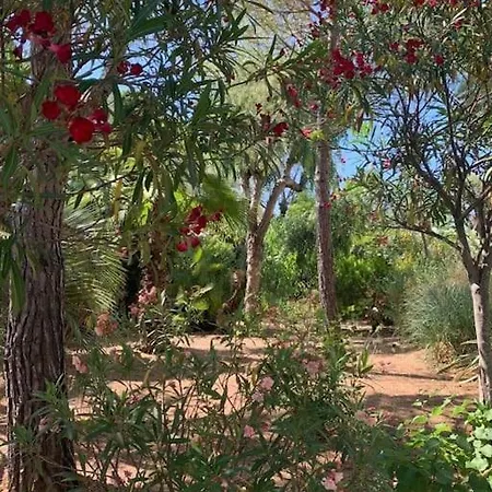 Dans Maison, Jardin Et Piscine Prives Antibes