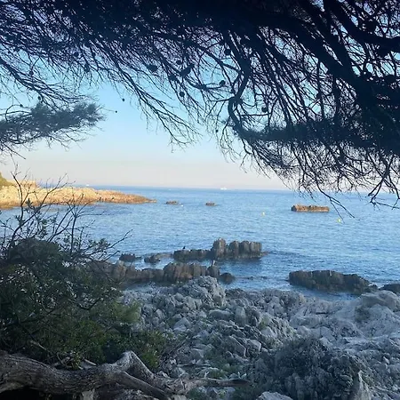 Feriehus Dans Maison, Jardin Et Piscine Prives Antibes