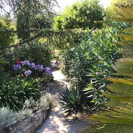 Dans Maison, Jardin Et Piscine Prives Feriehus Antibes