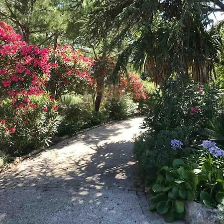 Dans Maison, Jardin Et Piscine Prives Antibes
