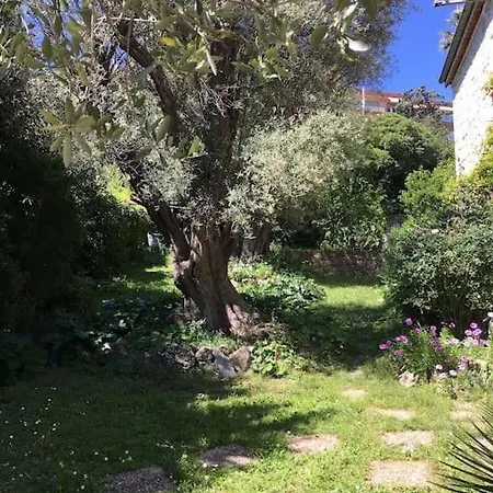 Dans Maison, Jardin Et Piscine Prives Antibes